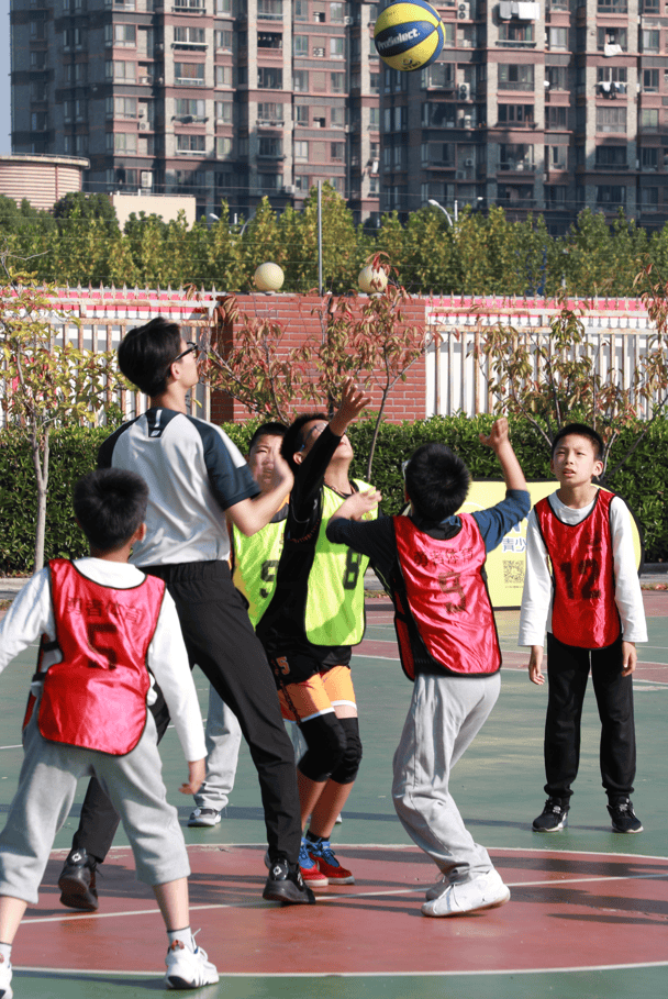 瑞士队观众热烈欢呼！，Rookie迎来七赛季出色发挥再创辉煌时刻的简单介绍